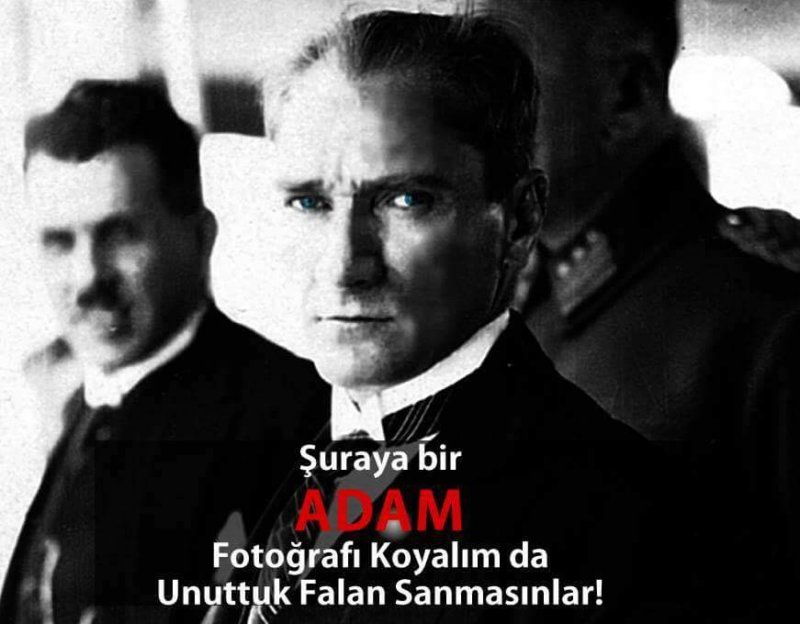 atam761.jpg